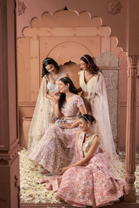 Aaina Adaa Net Ghaghra And Chunni - Ivory & Rose