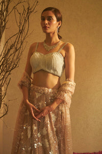 Bella Beads and Sequence Lehenga  with Crop Top - Tuscan