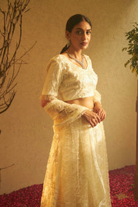 Bella Beads and Sequence Lehenga  with Sleeve Crop Top - Fawn