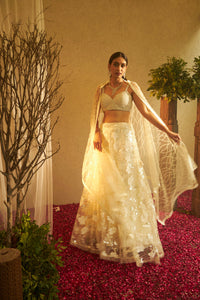 Bella Beads and Sequence Lehenga  with Crop Top - Fawn