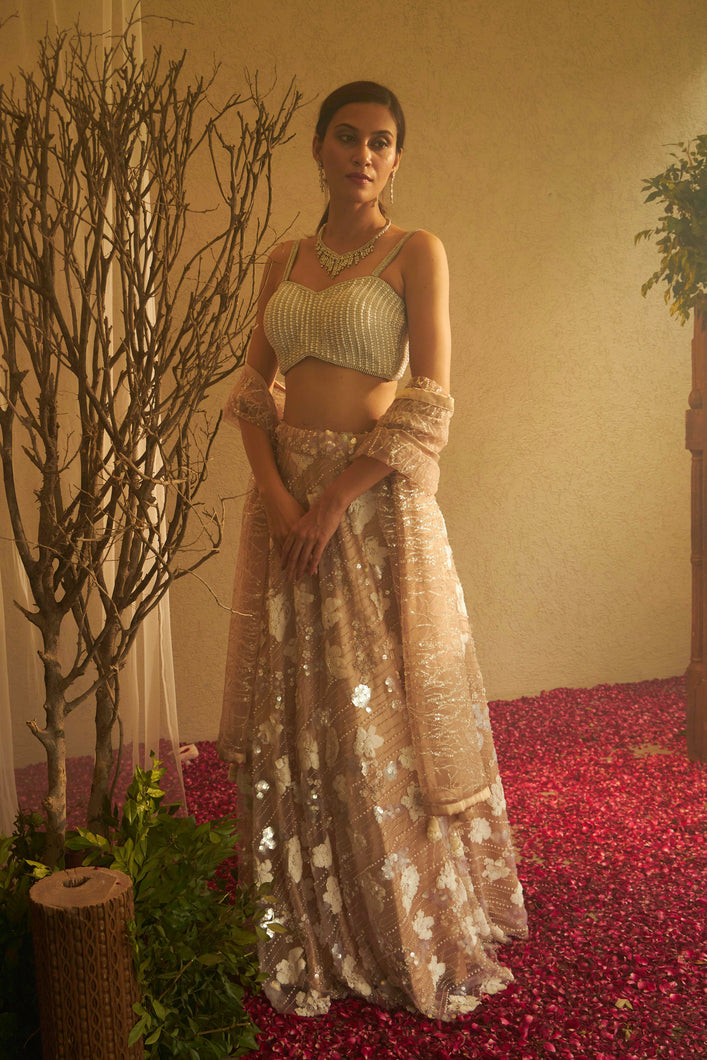 Bella Beads and Sequence Lehenga  with Crop Top - Tuscan