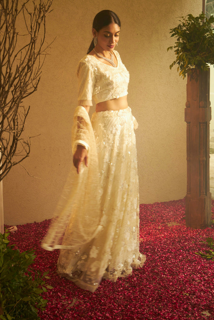 Bella Beads and Sequence Lehenga  with Sleeve Crop Top - Fawn